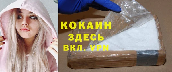 шишки Абаза