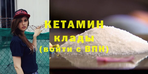 шишки Абаза