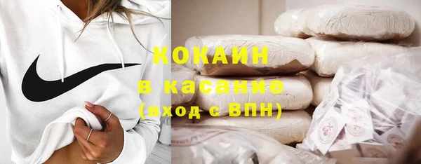 шишки Абаза
