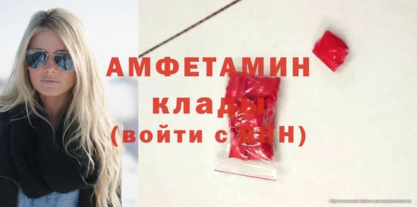 шишки Абаза