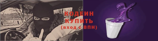 шишки Абаза