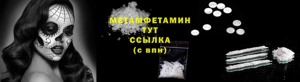 шишки Абаза