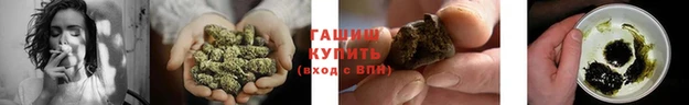 шишки Абаза