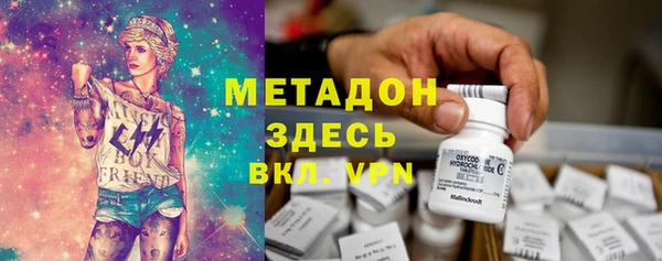 шишки Абаза