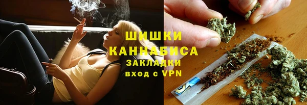 шишки Абаза