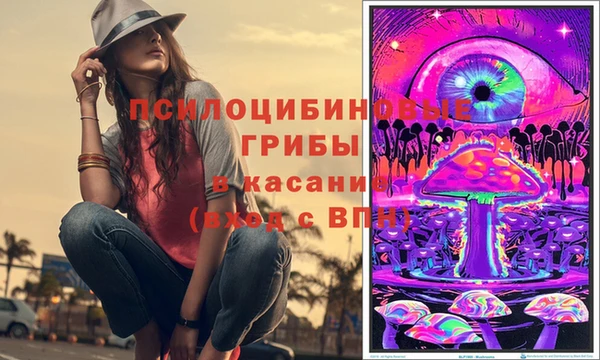 бошки Абдулино